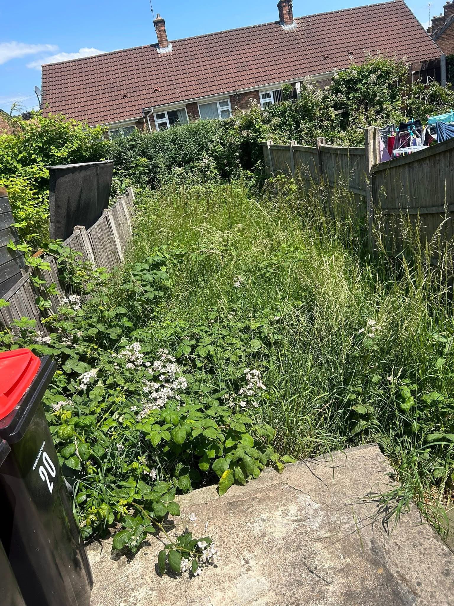 Garden Clearance Transformation #2 - Before