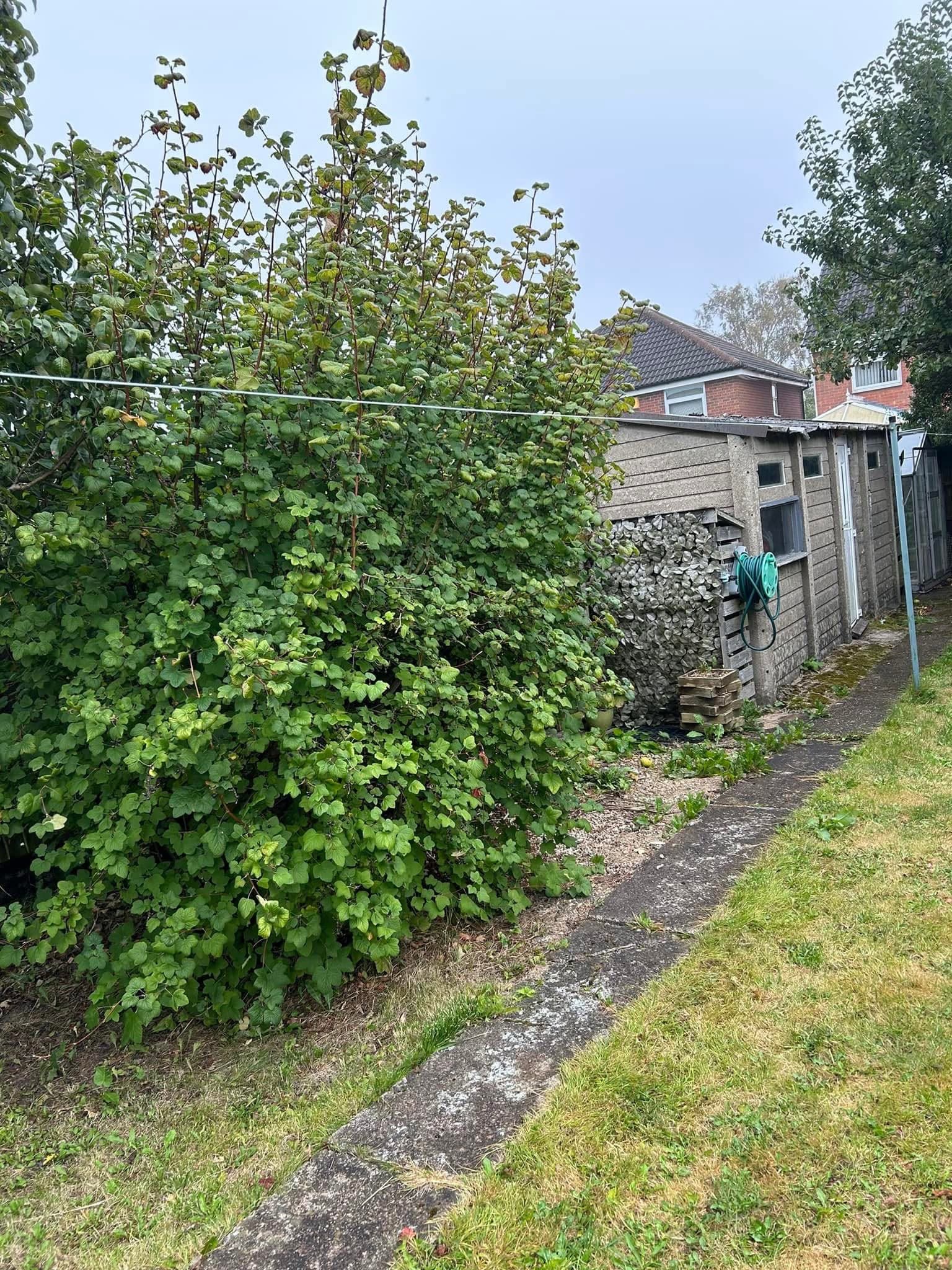 Garden Clearance Transformation #2 - After