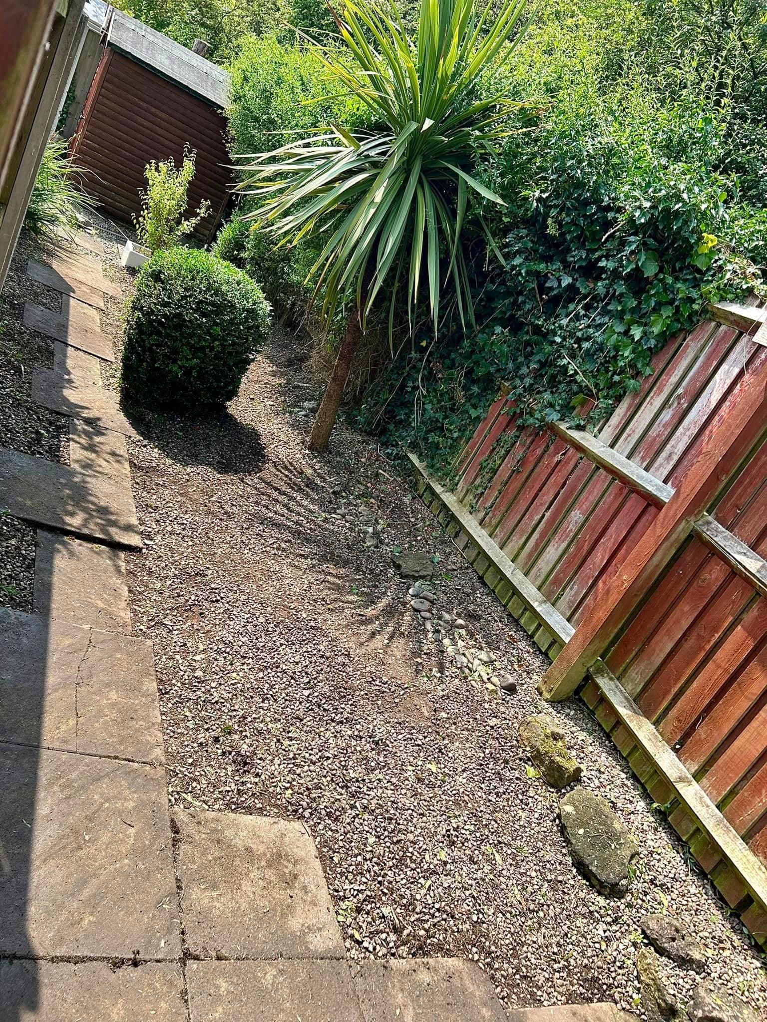 Garden Clearance Transformation #4 - Before