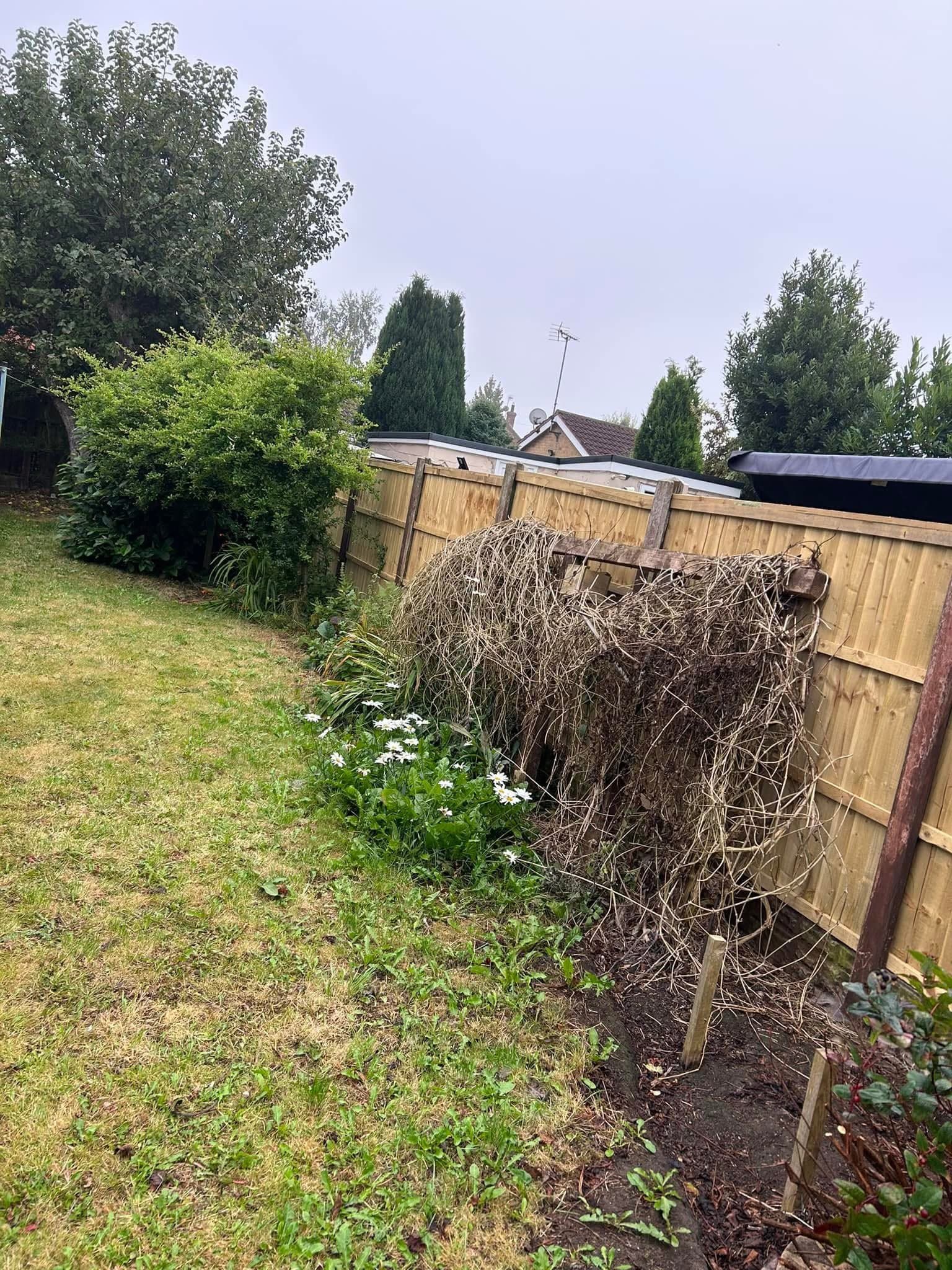 Garden Clearance Transformation #6 - Before