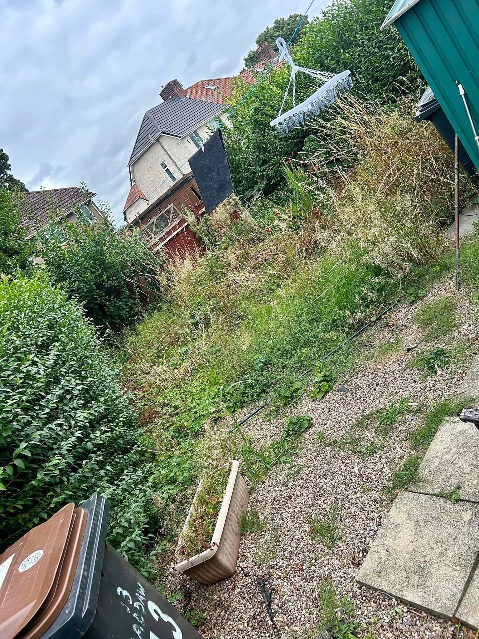 Garden Clearance Transformation #8 - Before