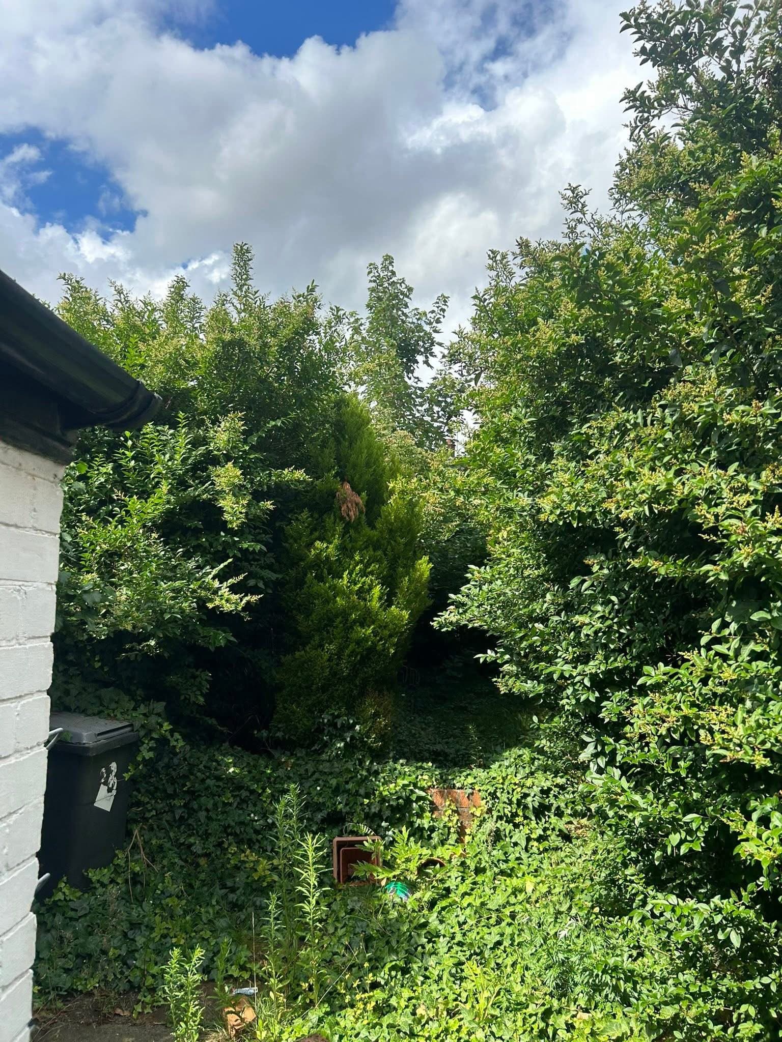 Garden Clearance Transformation #9 - Before