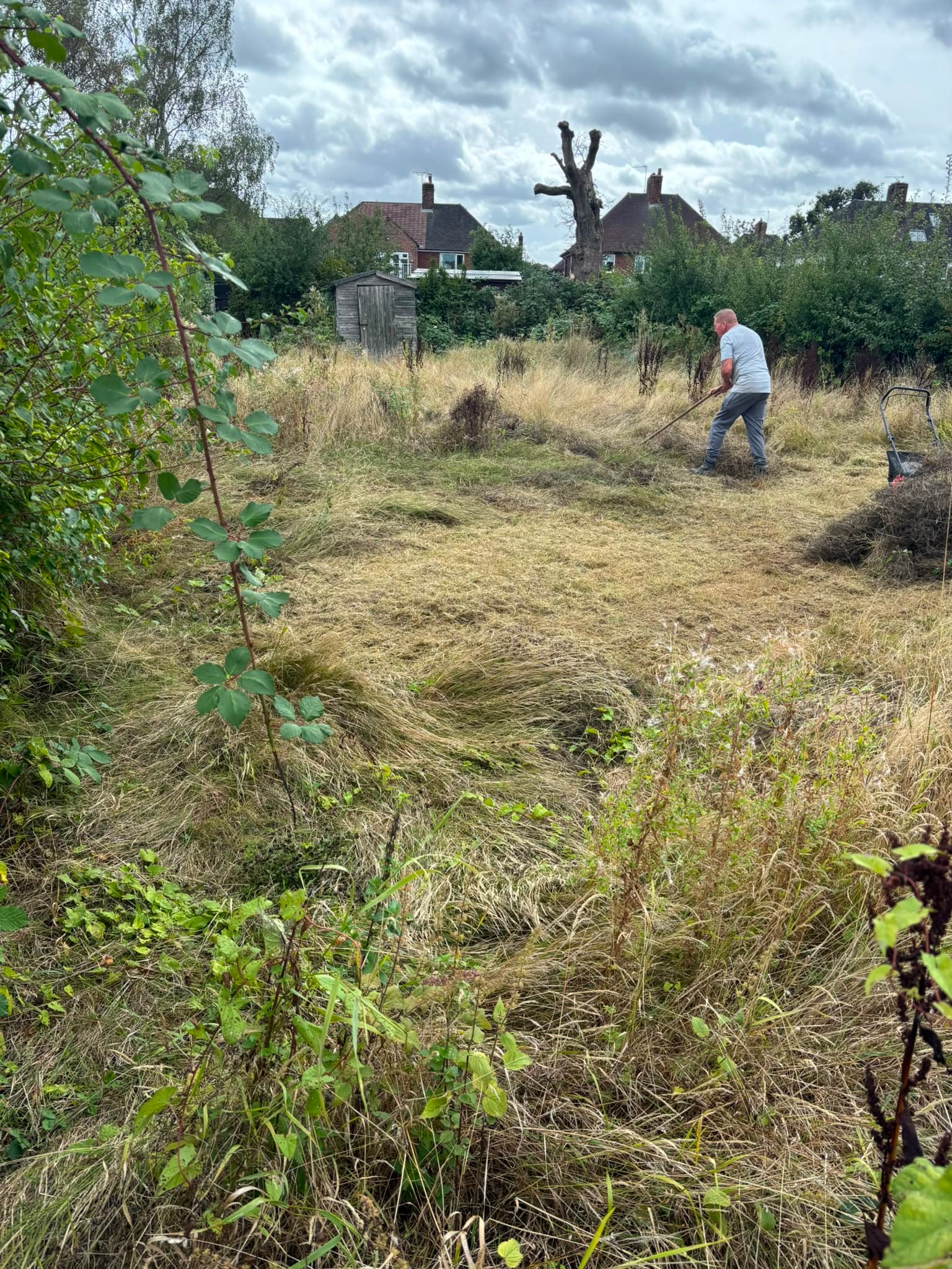 Fresh Turf Transformation #1 - Before