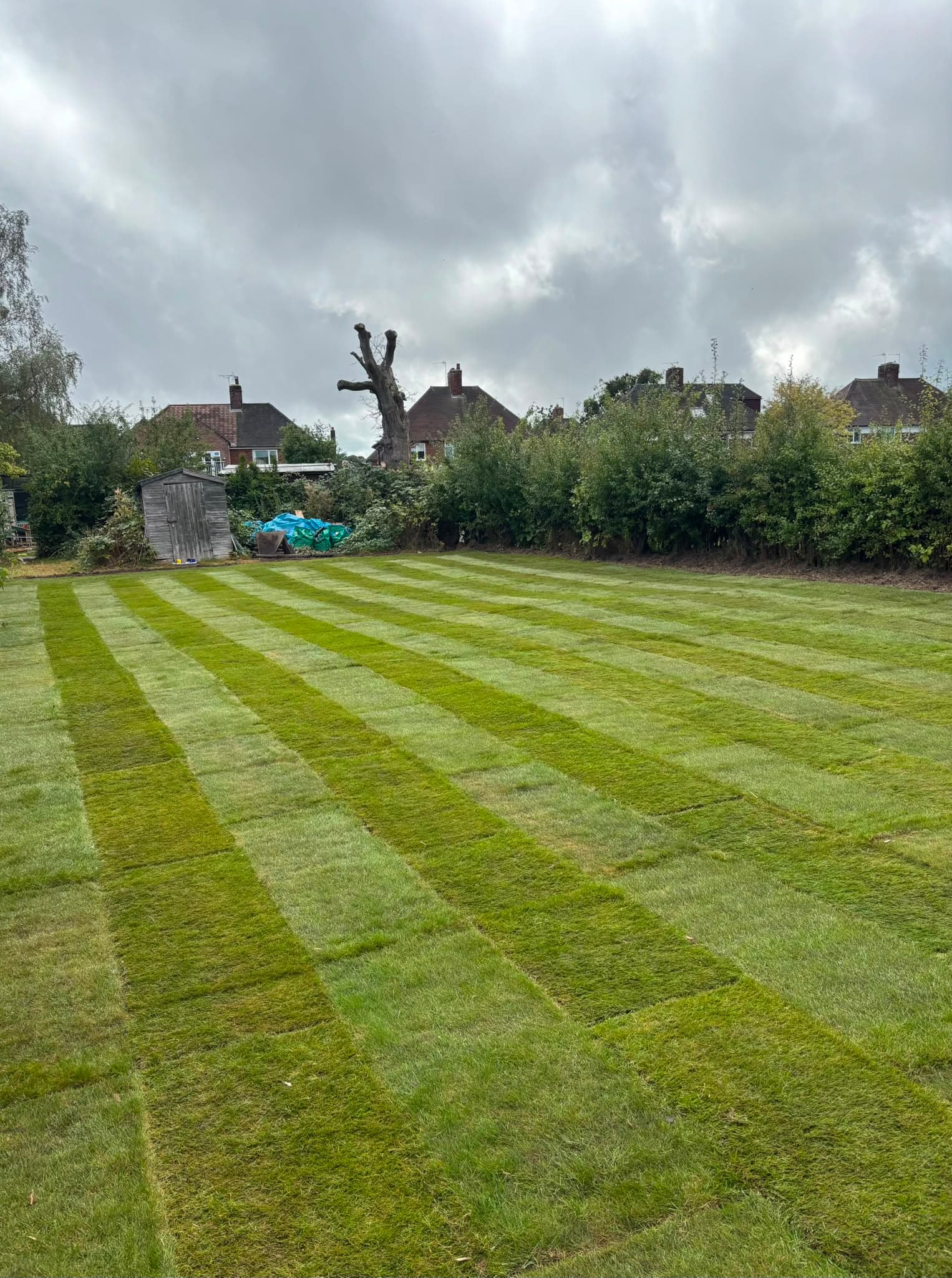 Fresh Turf Transformation #2 - After