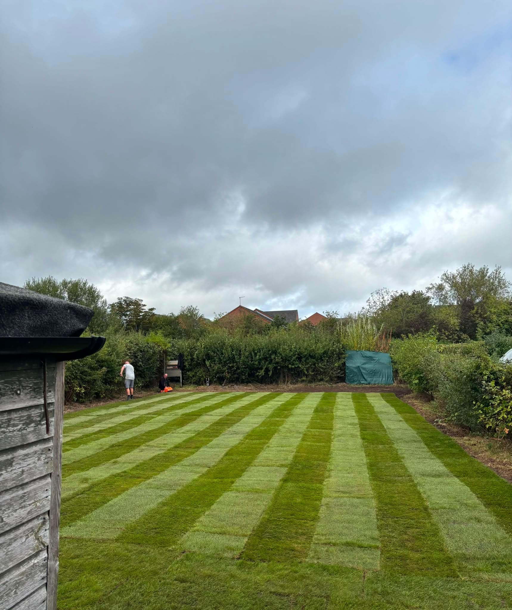 Fresh Turf Transformation #3 - After